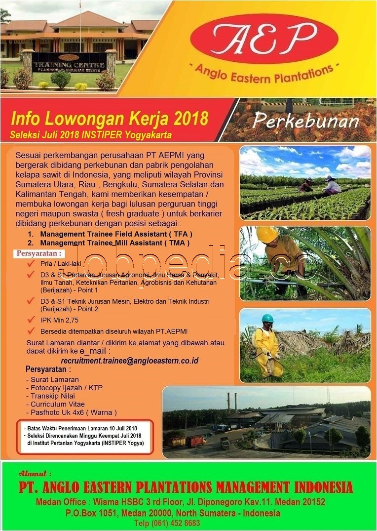 Lowongan Kerja Pt Anglo Eastern Plantations Management Indonesia Pt Aepmi Jobpedia My Id